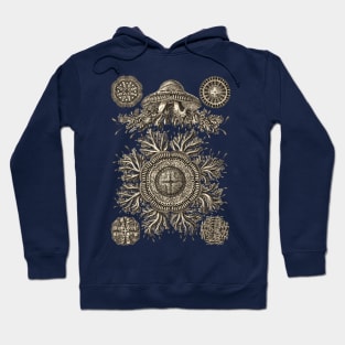 Ernst Haeckel Discomedusea Jellyfish  Wenge Plate 28 Hoodie